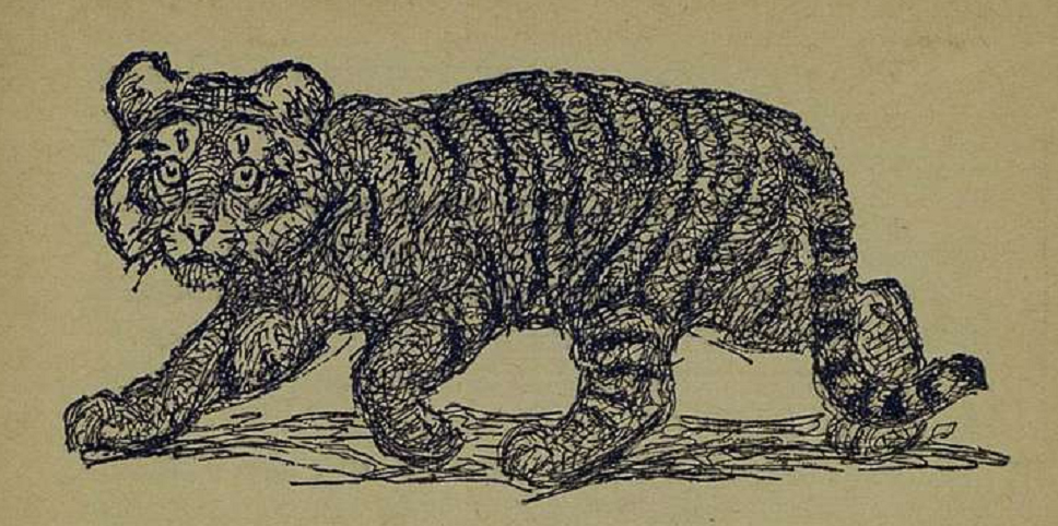 Тигр, нарисовать тигра
